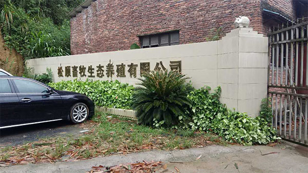 yang3.jpg